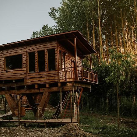 Bonita Cabana De Los Arboles En La Rioja , Durmiendo Entre Arboles Anguciana Εξωτερικό φωτογραφία