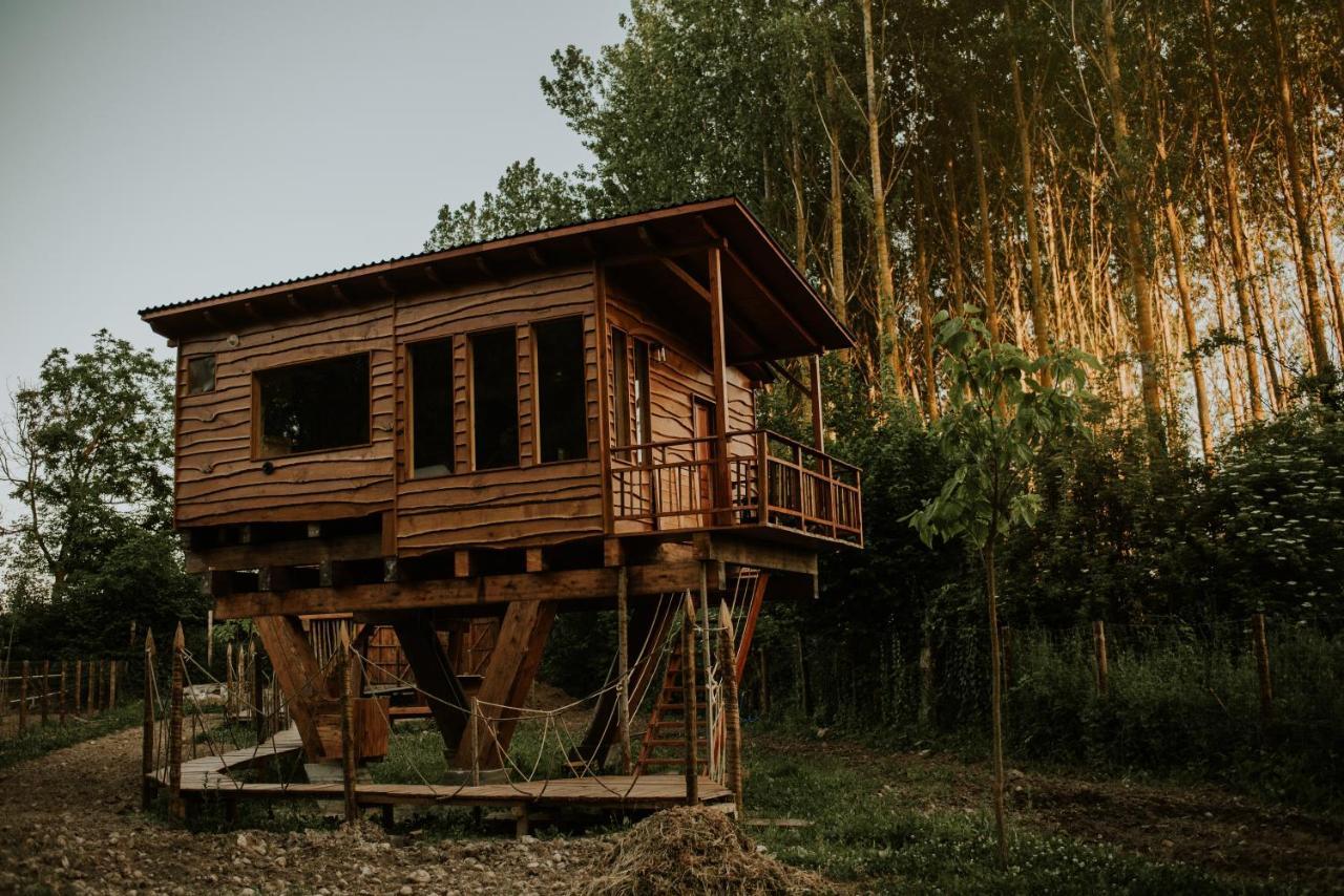 Bonita Cabana De Los Arboles En La Rioja , Durmiendo Entre Arboles Anguciana Εξωτερικό φωτογραφία