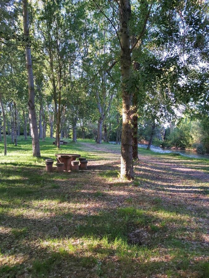 Bonita Cabana De Los Arboles En La Rioja , Durmiendo Entre Arboles Anguciana Εξωτερικό φωτογραφία