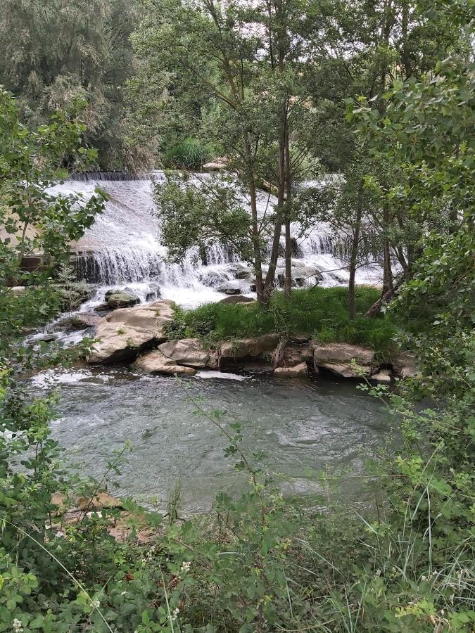 Bonita Cabana De Los Arboles En La Rioja , Durmiendo Entre Arboles Anguciana Εξωτερικό φωτογραφία